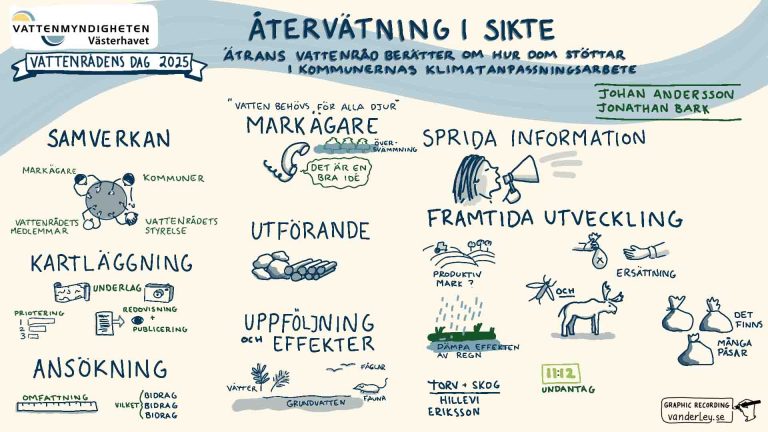 Graphic recording av en föreläsning på Vattenrådensdag.